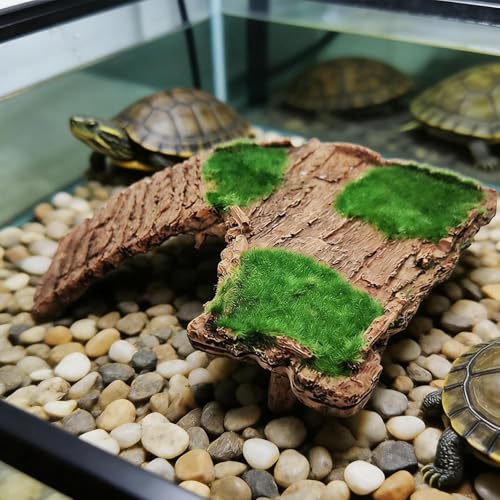 Plataforma de descanso para ranas y lagartos soluciona la falta de espacio seco 8