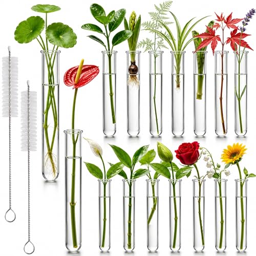 Sileasncei Test Tubes for Plants 16 Pack 20ml Acrylic Tubes