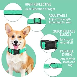   Reflective-Dog-Collar-with-Safety-Locking-Buckle-Adjustable-Soft-Breathable-Nylon-Collars-for-Small-Medium-and-Large-DogsCollarLeash-XS-Width-58-Turquoise