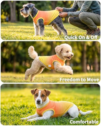Image of CuteBone Ombre Dog Tank Top for Small Dogs, Cats - Tropical Summer Pet Vest - Breathable Ice Silk Cooling Shirt - Sun Protection, Photo, Casual Play, Walks