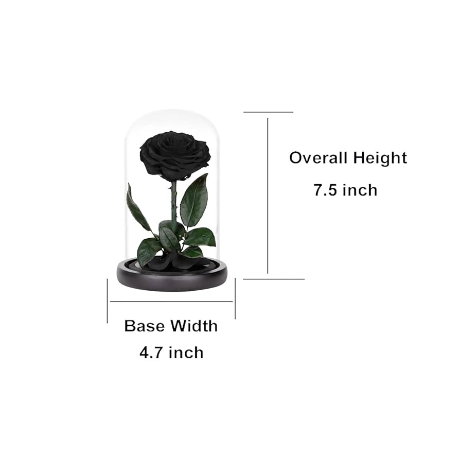 黒いプリザーブドローズ ガラスドーム付き Amazon｜プリザーブドローズ ガラスドームに入ったブラック