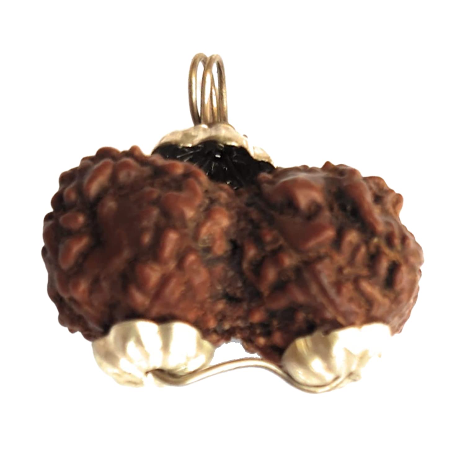 Nepal Gauri Shankar Rudraksha Locket for Men/Women Wearing - Natural Brown Lab Certified Rudraksh (Big Size, 23 mm) - Pack of 1-image-35