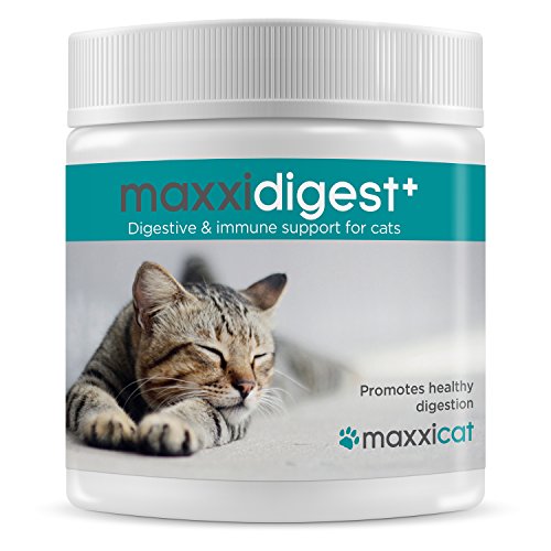 Best Probiotic For Cats With Ibs 10Reviewz