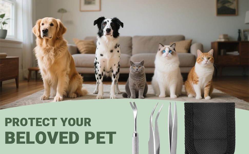 WQDD STANPET Zeckenzange Set 3-teilig mit Aufbewahrungstasche – Edelstahl Zeckenpinzette & Zeckenhaken, Zeckenentferner für Hund, Katze & Mensch – Präzise, Rostfrei