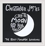 When the Moon Gets High Tonight