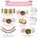 Pink and Gold Baby Shower Decorations for Girl BABY SHOWER IT'S A GIRL Garland Bunting Banner Tissue Paper Pom Poms Flowers Paper Lanterns Paper Honeycomb Balls Tissue Paper Tassel Party Decorations