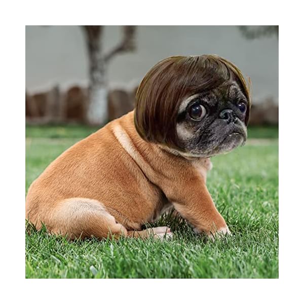 Funny dog cat cosplay wig, pet wigs, for halloween, christmas, parties, festivals, dog wigs for small medium and large dogs - image 5