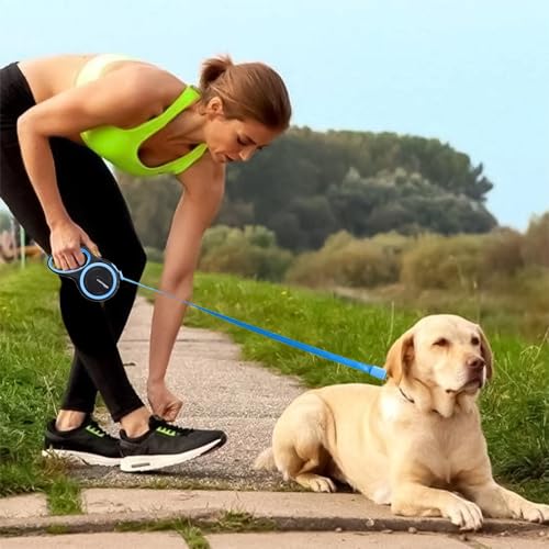 Image of Amazon Basics Retractable Dog Leash | 5 Meter | for Large Dogs Up to 50 Kg | Heavy Duty Leash for Pets | Strong Nylon Tape, Anti-Slip Handle, Built in Spring, One-Click Brake Pause | Blue