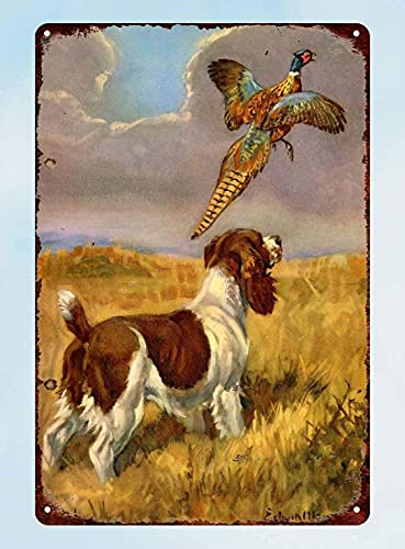 Vintage Poster Metal Sign Springer Spaniel Dog Pheasant Hunting T...