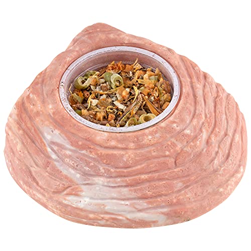 Healthy Herp Adult Dragon Food Instant Meal 7 X 0.20 Ounce (5.7 Grams) Cups #TOP6