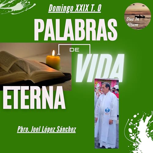 『T.4 Ep. 18. Palabras de Vida Eterna. El hijo del hombre.』のカバーアート