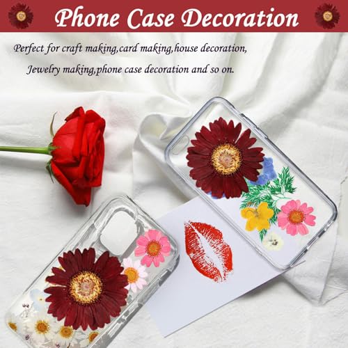 Flores secas naturales grandes para manualidades DIY miniatura 5