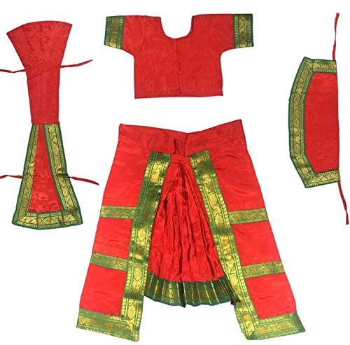 Gorgeous Red and Light Blue Color Art Silk Bharatnatyam Costume main image 1