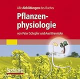 Alle Grafiken des Lehrbuchs Pflanzenphysiologie: Alle Abbilddungen des Buches. FürWindows 98/98ME/NT4.0 SP2/2000/Vista/7 u. Mac OS 9/OS X