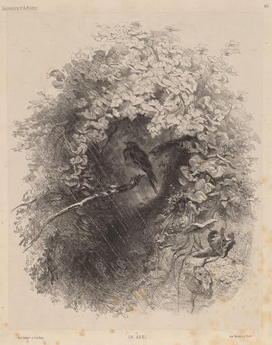 Karl Bodmer Animaux Art Poster Premium : Impression Toile de Maître 60x90cm