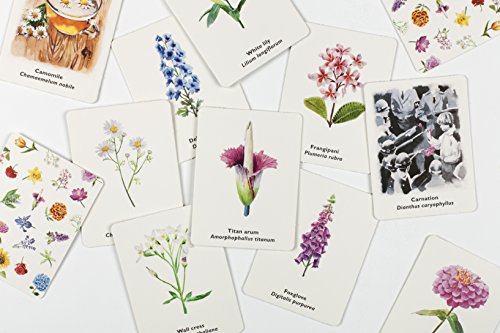 Pick a Flower: A Memory Game - Image 3