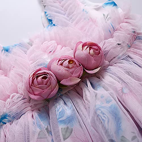Pettigirl Girls Teens Vintage Floral Ruffle Tulle Sundress Clothes Toddler Princess Pageant Party Boutique Dress3