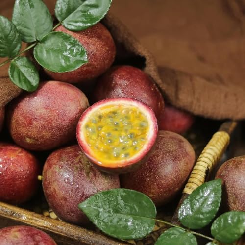 Generic semillas de maracuyá, árboles frutales, plantas de jardín, plantas perennes resistentes, 200pcs