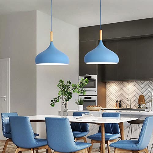 Suspension en fer forgé semi-circulaire MMRTDJDR, plafonnier chic E27