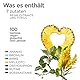 Drenixan | Wasser Balance & Entwässerung + Stoffwechsel | Mit Bromelain, Rosskastanie, Rutin, Steinklee, Birke, Orthosiphon 20 konzentrierte Kapseln J.Armor Pharma