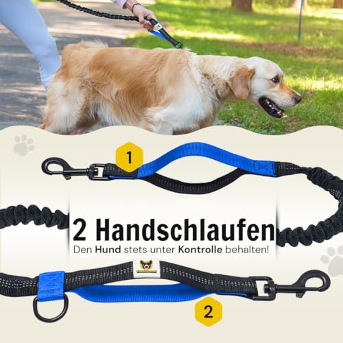 Hundefreund Joggingleine mit Bauchgurt Blau | Laufleine Elastisch Ruckdämpfend Reflektierend für mittelgroße und große Hunde bis 70 kg | Freie Hände zum Joggen Laufen Radfahren Wandern