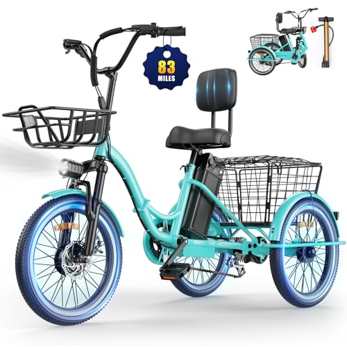 Electric Tricycle for Adults, Peak 1200W Electric Trike,