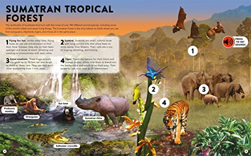 The Animal Kingdom: with 50 Incredible Sounds! - Image 2