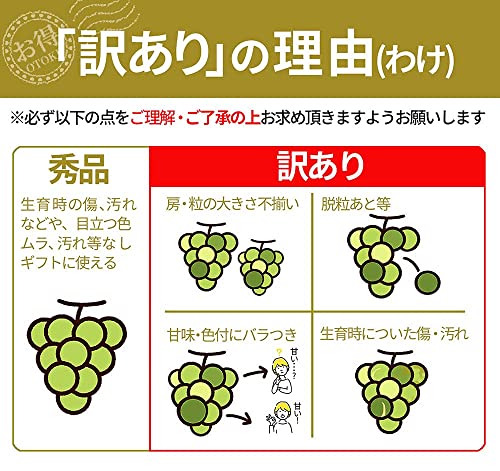 グルメ&ギフトお取り寄せ山形eLab 山形県産 シャインマスカット の商品画像 4