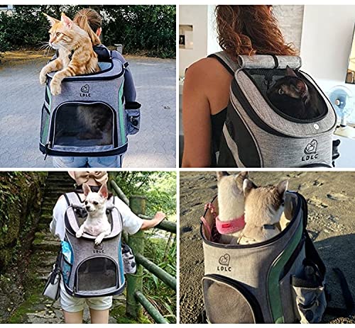 Hunderucksack AIWOKE für Haustiere bis 5,5 kg