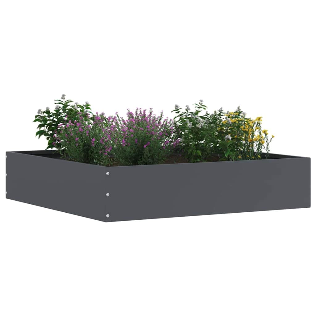 Bordure de pelouse en acier Anthracite 60 x 60 x 13 cm