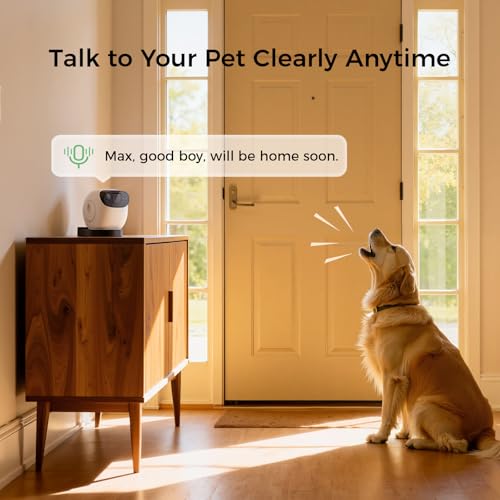 Smart Automatic Pet Treat Dispenser