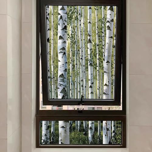 Vinilo adhesivo para ventana Watercolor Birch Tree 15.7x23.6 in miniatura 7