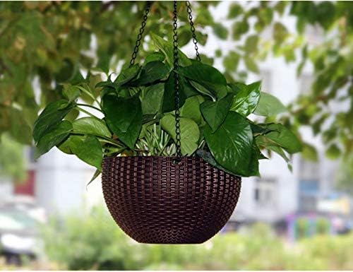 Tex Homz Plastic Plant Pot With Hanging Chain, Multicolour, Medium, 1 Piece