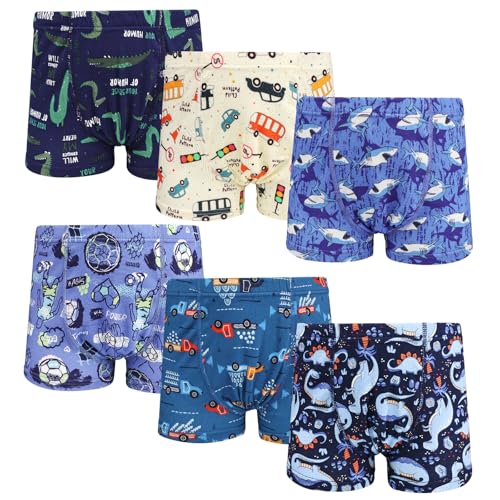 FLYISH DIRECT Calzoncillos Boxer Niño 100% Algodón, 6 Unidades Boxers para niño, Ropa Interior Infantil de Algodón, Azul Dinosaurio, Coche, 4-5 Años