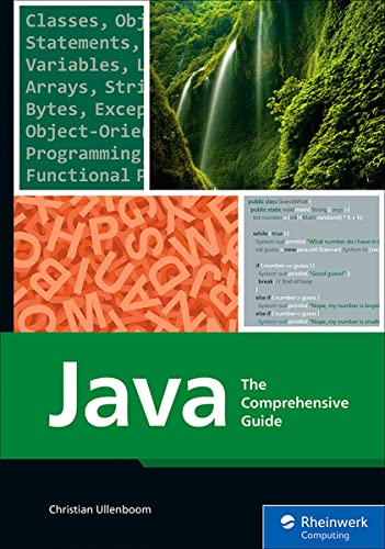 Java: The Comprehensive Guide to Java Programming for Professionals (Rheinwerk Computing) (English Edition)