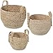 DRW Set de 3 cestos de Hojas de maiz con Asas en Natural 34x27cm, 30x24cm y 26x21cm