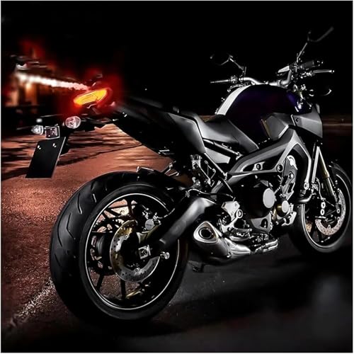 Accesorios para luz Trasera Yamaha Tracer 9 GT E24 6
