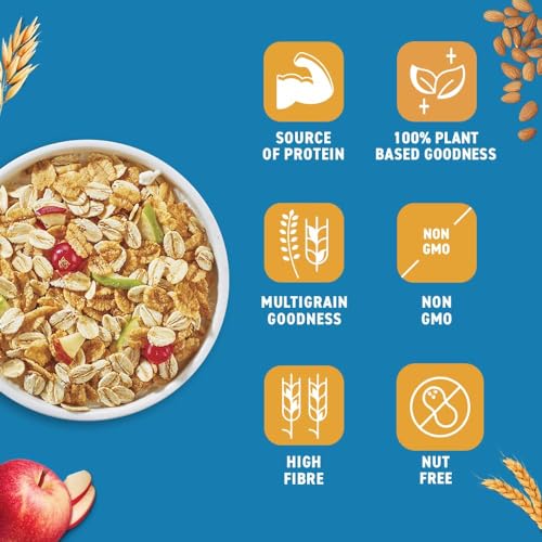 Image of Bagrry's Crunchy Muesli No Added Sugar 0%| 90% Multi Grains | 60% Fibre Rich Oats with Bran | Whole Grain Breakfast Cereal | Helps Manage Weight | Vegan and Plant Based Muesli 500g Box, Pack of 2