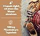 EXVital Vitalpilze Komplex- Hericium, Cordyceps, Reishi, Chaga, Shiitake & Maitake- 1480mg Pilzextrakt pro Tag, 120 vegane Kapseln,hochdosierter Pilzkomplex, laborgeprüft