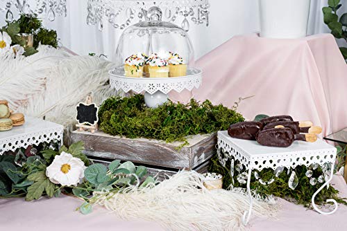 Simply Elegant Round Metal Cake Stand With Glass Dome Lid, For Cakes Up To 9", Pedestal 5.75" Tall - White #TOP3