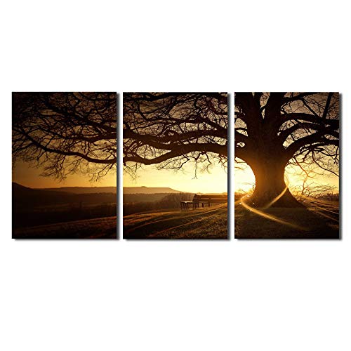 Toile affiche grand arbre coucher de soleil tableau déco salon pour ambiance cocooning