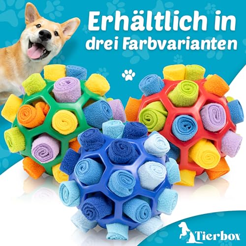 Tierbox Schnüffelball für Hunde Intelligenzspielzeug [für alle Hunde] Schnüffelspiele Hund | Kaktus Grün