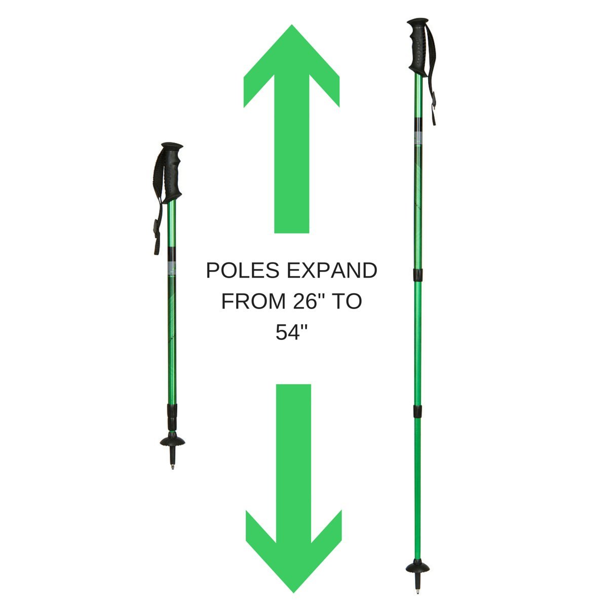 denali walking pole