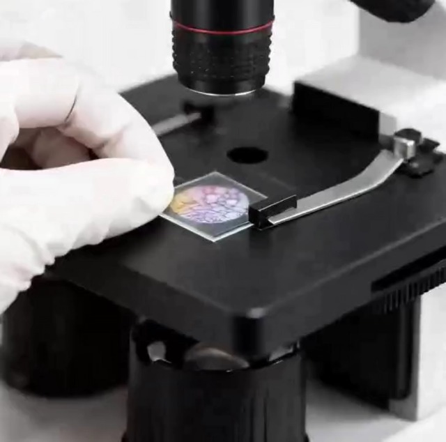 Amazon.co.jp: 新学期 科学探検 携帯型LED単眼複合顕微鏡 40x-1000x