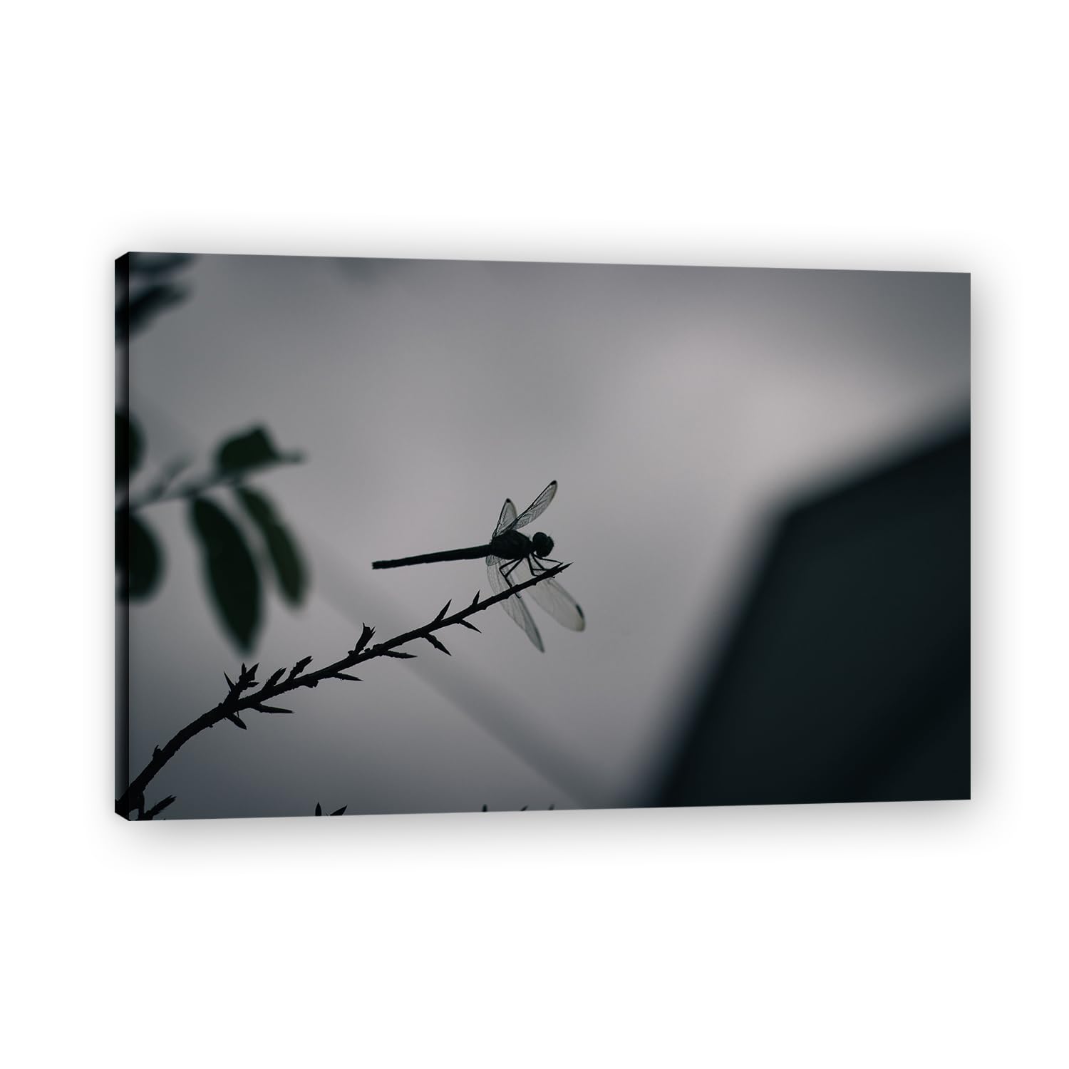 VHdfgTY Flying To The BranchMountain Landscape Canvas Wall Art Nature Scenery Wall Decor for Home 60x90cm Framed