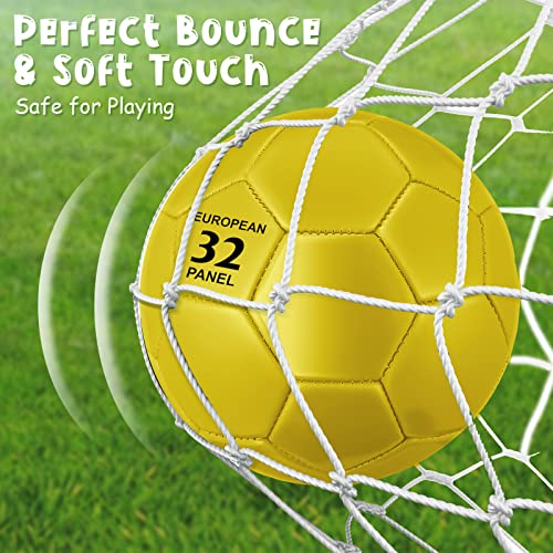 Hydren 6 Pcs Soccer Ball Pump Size 2 Size 3 Size 4 Machine Stitched Colorful Soccer Ball Toy Cute Youth Sport Soccer Needle Indoor Outdoor Training Practice Toddler Game Back To School (Size 3) #TOP4