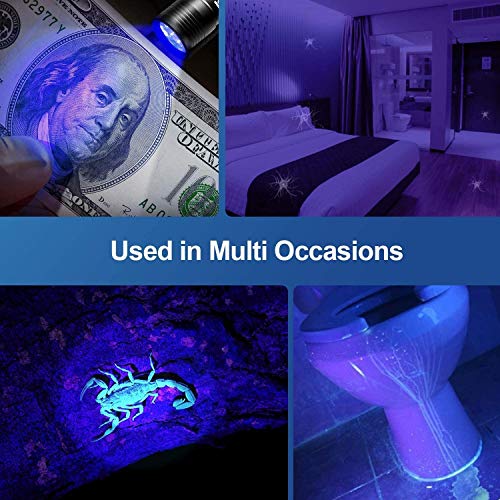 morpilot Blacklight Flashlights uv Flashlight: 12 Led 395nm 2 Pcs Black Light Flashlight Mini, Pet Urine Detector Light… - Image 3