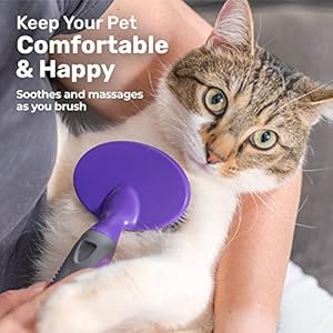   Hertzko-Dog-Brush-Soft-Pin-Bristle-Pet-Brush-for-Dogs-and-Cats-Remove-Fur-Loose-Hair-Comb-for-Grooming-Dog-Brush-for-Long-Haired-Dogs-and-Short-Haired-Dogs-Cats-Rabbits-Deshedding-Tool