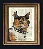 Lucipurr the Black Metal Kitty Goth Cat Calico With Pentagram Illustration Beautifully Upcycled...