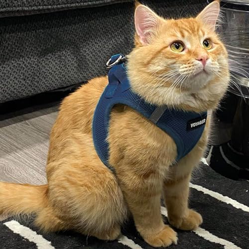 Voyager Step-In Air Hundegeschirr by Best Pet Supplies - All Weather Mesh Step in Vest Harness für kleine und mittlere Hunde, Blau, size S - Brust 37-40 cm
